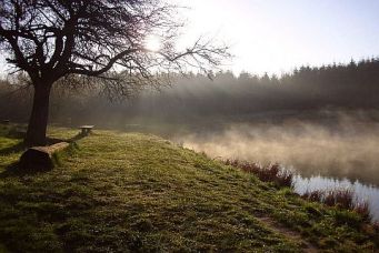 herbst