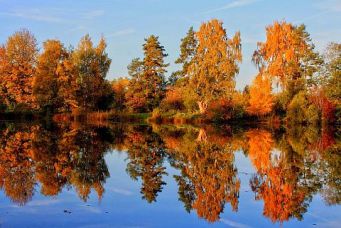 herbst-02