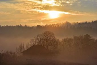 herbst-02