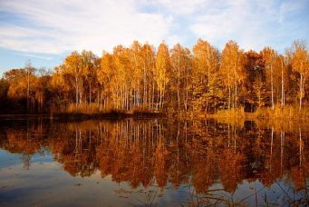 herbst-02