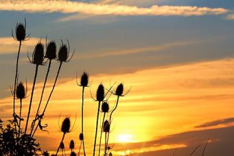 herbst-02