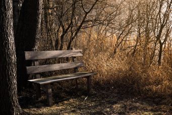 herbst-02