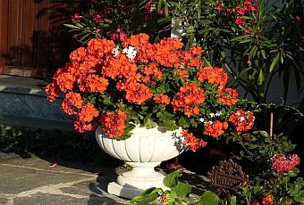 herbst-02